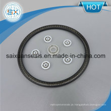 V-Ring Seal / Estático / com mola / Elastômero